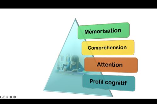 Les points clés du stage de métacognition