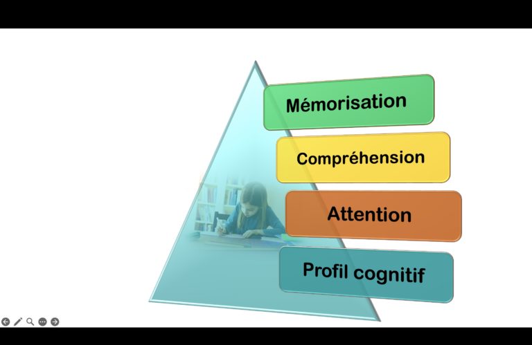 Les points clés du stage de métacognition